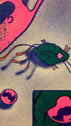 Risografia - Senhor